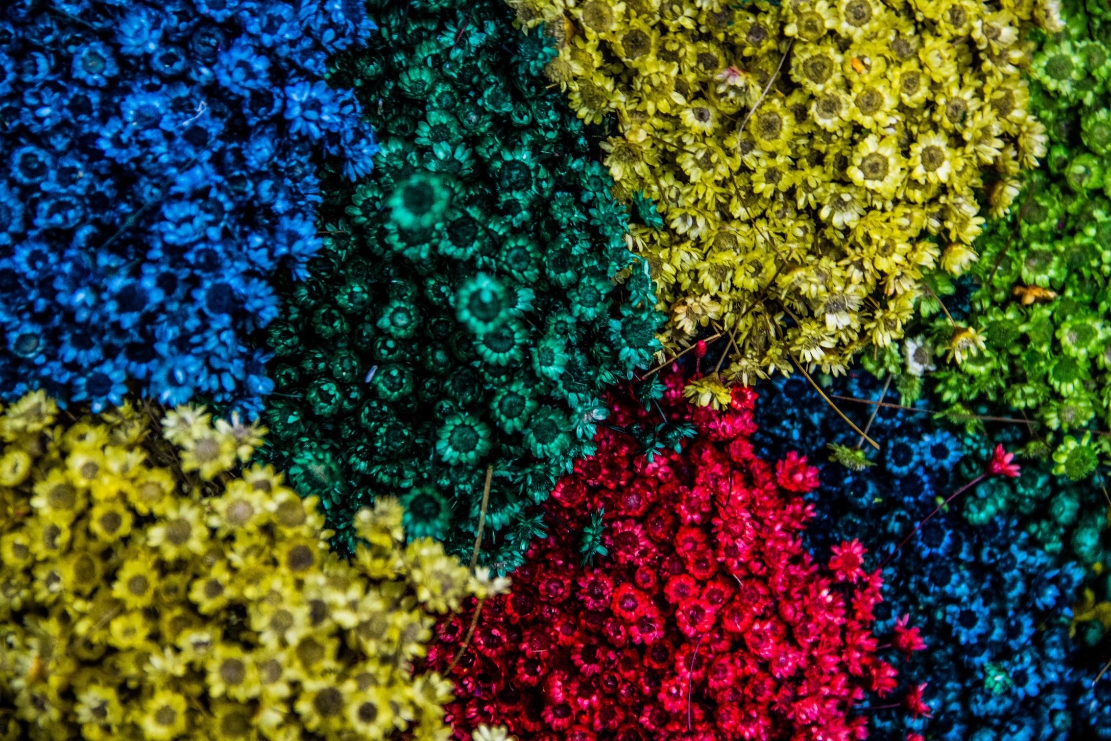 Choosing the Best Non-Toxic Paint Brands for Your Home