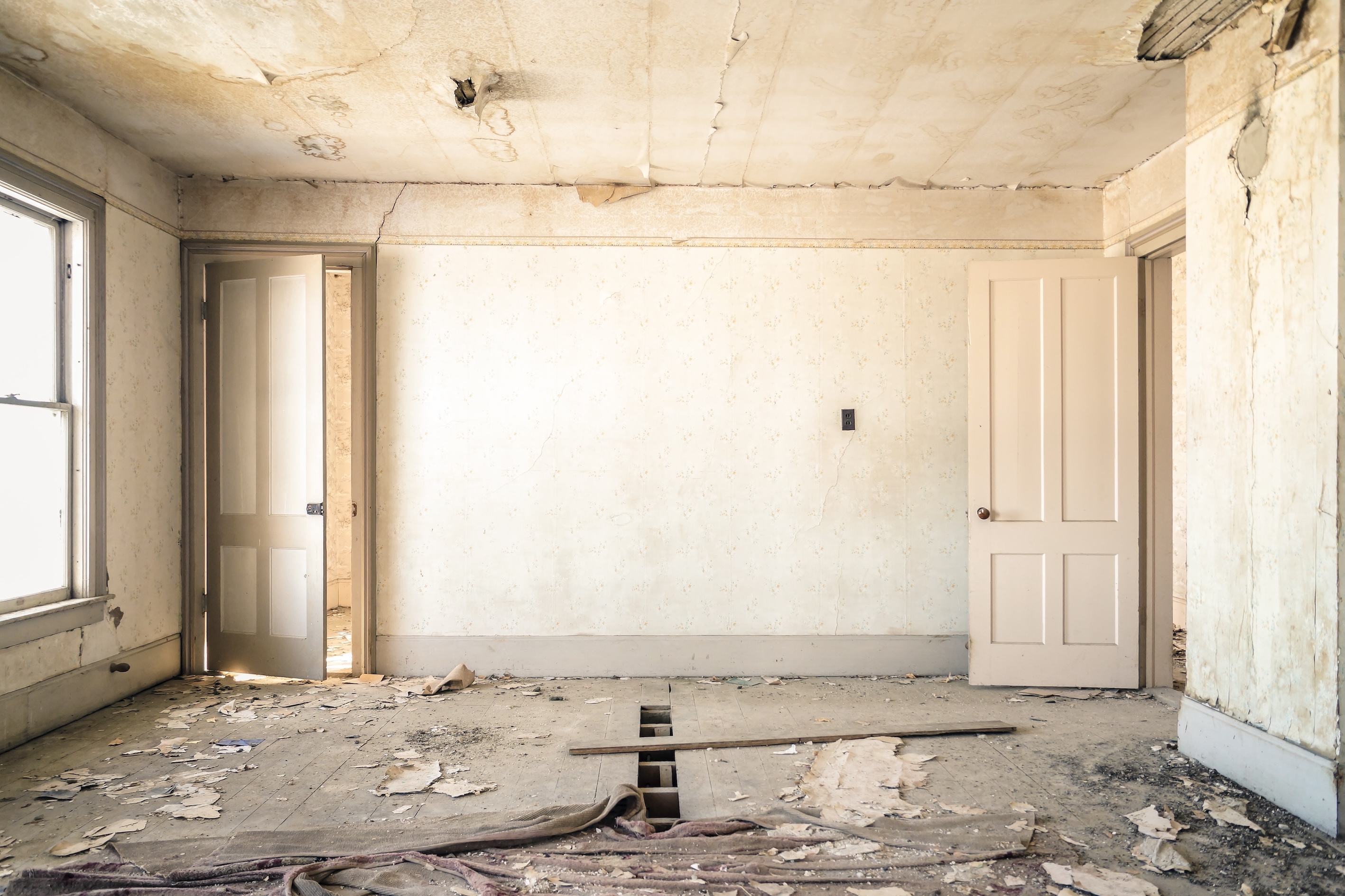 How to get rid of mould