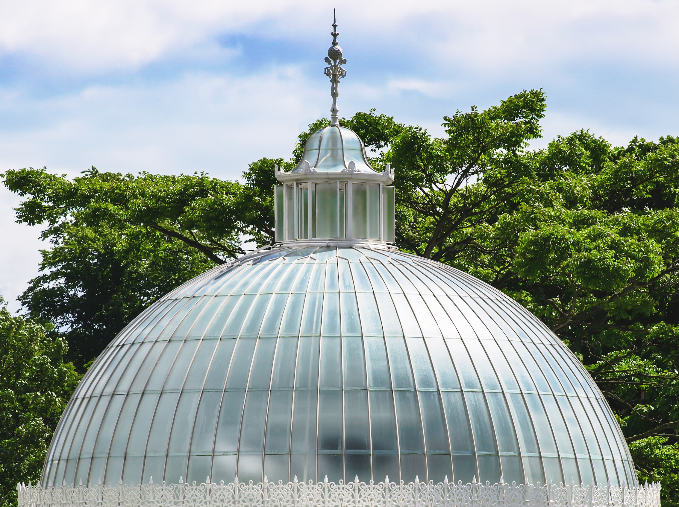 The Rise of Glass Roofs
