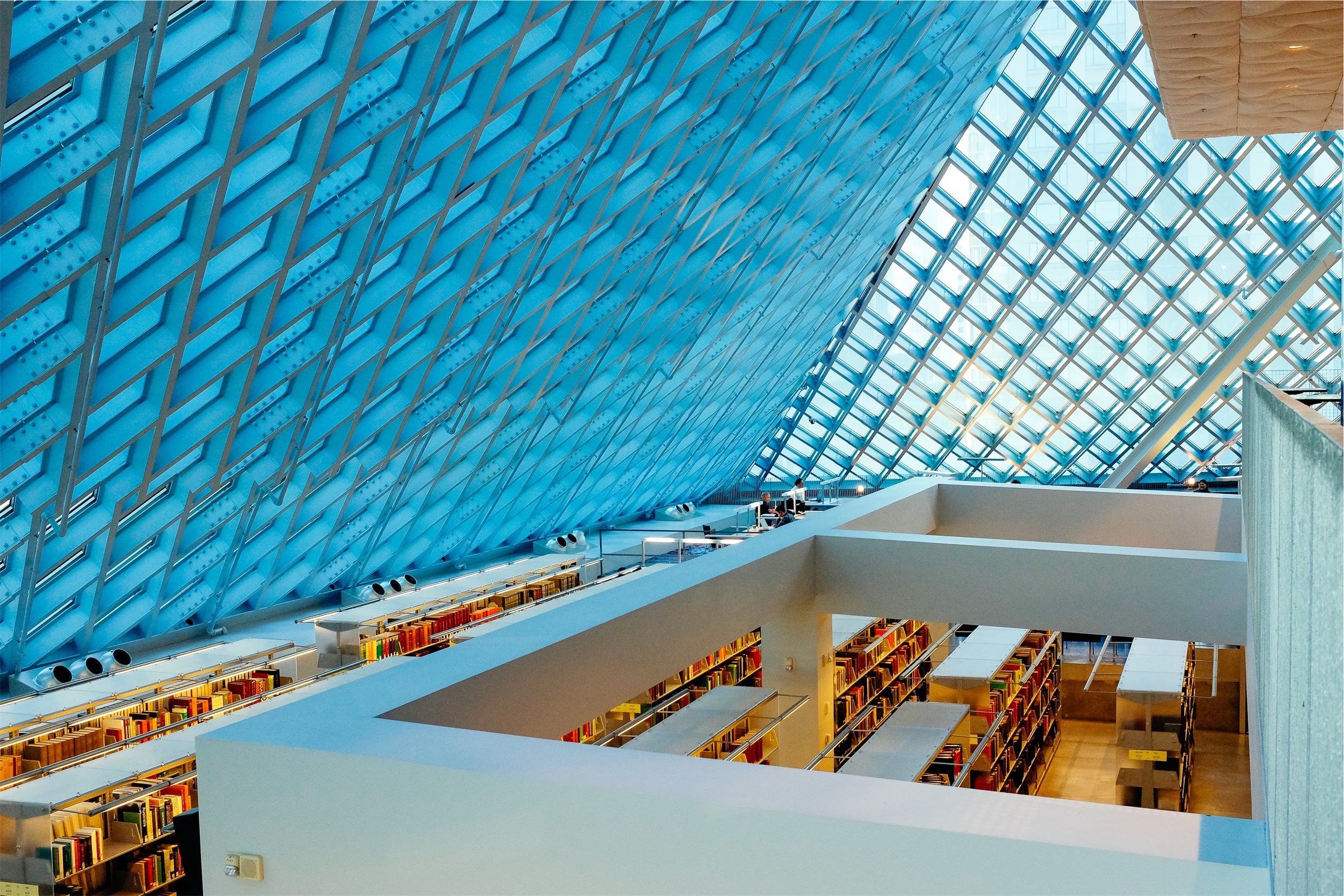 Skylights: Benefits, Best Uses, and Pricing Guide